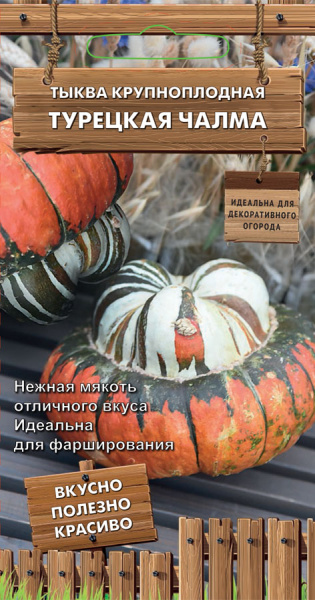 Тыква крупноплодная Турецкая чалма (декор. огород)  (ЦВ) 5шт. фото в интернет-магазине "Сортовые семена"