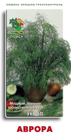 Укроп Аврора (ЦВ) 2гр. фото в интернет-магазине "Сортовые семена"