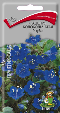 Фацелия колокольчатая Голубая (ЦП) 0,5 фото в интернет-магазине "Сортовые семена"