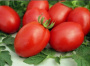 Томат Де Барао Красный - суперурожайность! фото в интернет-магазине "Сортовые семена"