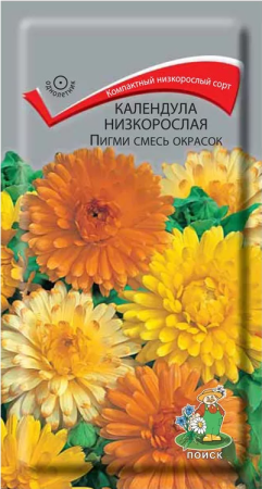 Календула низкорослая Пигми смесь окрасок (ЦП) 0,3 фото в интернет-магазине "Сортовые семена"