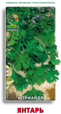 Кориандр Янтарь (ЦВ) 3гр. фото в интернет-магазине "Сортовые семена"