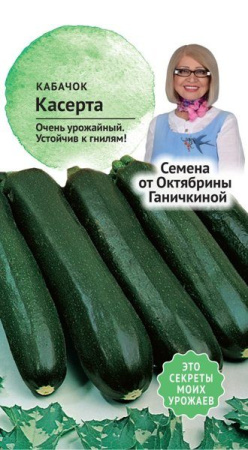 Кабачок Касерта 2 г фото в интернет-магазине "Сортовые семена"