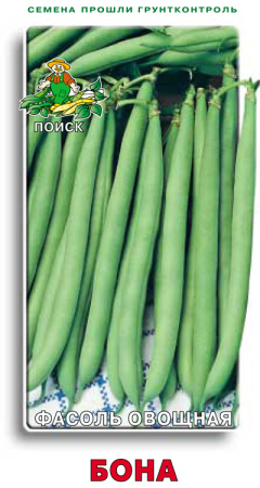 Фасоль овощная Бона фото в интернет-магазине "Сортовые семена"
