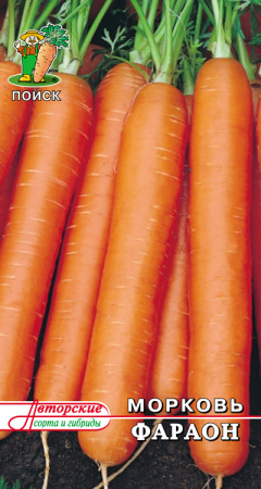 Морковь Фараон фото в интернет-магазине "Сортовые семена"