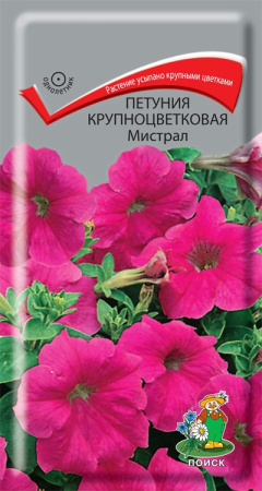 Петуния крупноцветковая Мистрал (ЦВ) ("1) 20шт. фото в интернет-магазине "Сортовые семена"