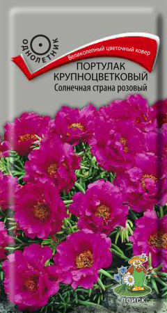 Портулак крупноцветковый Солнечная страна розовый (ЦВ) ("1) 0,1гр. фото в интернет-магазине "Сортовые семена"