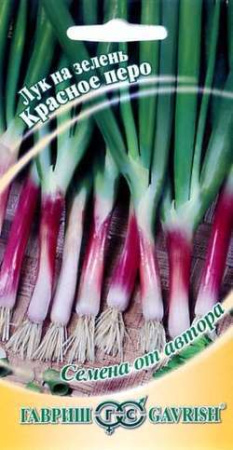 Лук на зелень Красное перо 1,0 г автор. фото в интернет-магазине "Сортовые семена"