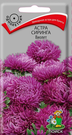 Астра Сиринга Виолет (ЦВ) ("1) 0,2гр. фото в интернет-магазине "Сортовые семена"