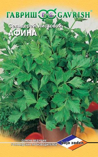 Сельдерей Афина листовой 0,1 г (Голландия) Н14 фото в интернет-магазине "Сортовые семена"
