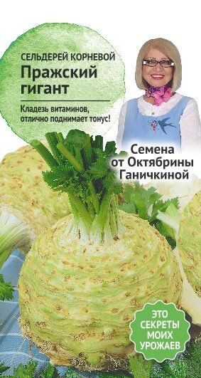 Сельдерей корневой Пражский гигант 0,3 г фото в интернет-магазине "Сортовые семена"
