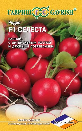 Редис Селеста F1 0,5 г (Голландия) фото в интернет-магазине "Сортовые семена"