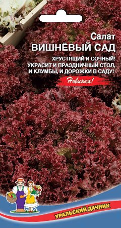 Салат Вишневый Сад фото в интернет-магазине "Сортовые семена"