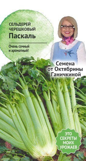 Сельдерей черешковый Паскаль 0,3 г фото в интернет-магазине "Сортовые семена"