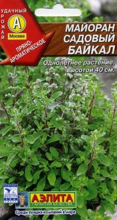 Майоран садовый Байкал (А) фото в интернет-магазине "Сортовые семена"