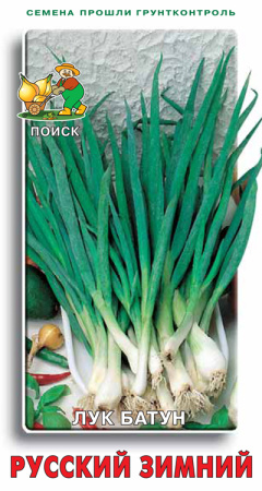 Лук батун Русский зимний фото в интернет-магазине "Сортовые семена"