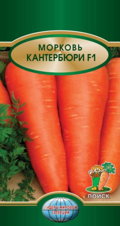 Морковь Кантербюри F1 (ЦВ*) 0,5гр. фото в интернет-магазине "Сортовые семена"