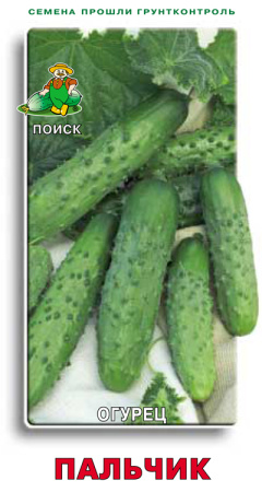 Огурец Пальчик фото в интернет-магазине "Сортовые семена"