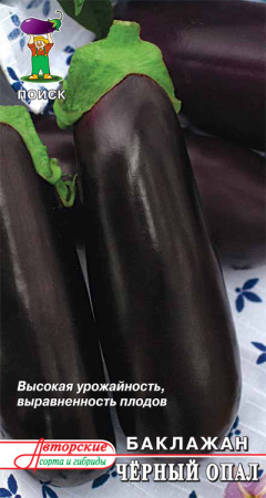 Баклажан Чёрный опал(А) (ЦВ) 0,25гр. фото в интернет-магазине "Сортовые семена"