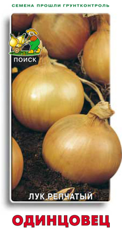 Лук репчатый Одинцовец фото в интернет-магазине "Сортовые семена"
