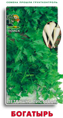 Петрушка Богатырь фото в интернет-магазине "Сортовые семена"