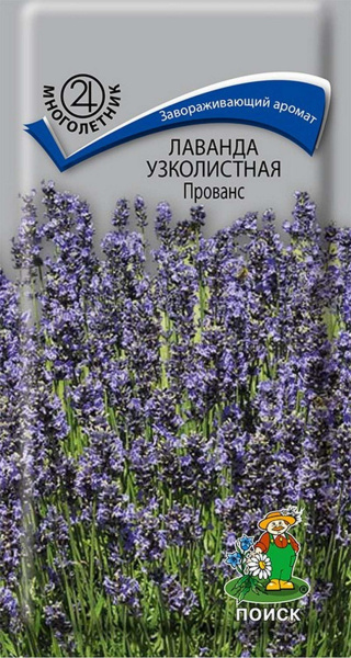 Лаванда узколистная Прованс (ЦВ)("М) 0,1 гр фото в интернет-магазине "Сортовые семена"