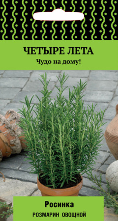 Розмарин овощной Росинка фото в интернет-магазине "Сортовые семена"