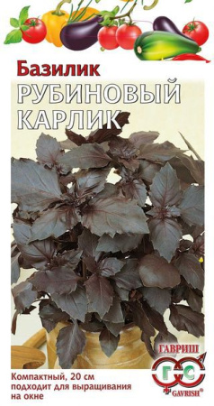 Базилик Рубиновый карлик 0,1 г фото в интернет-магазине "Сортовые семена"