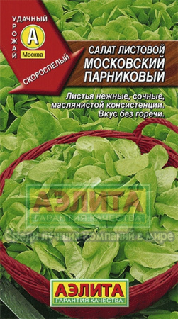 Салат листовой Московский парниковый (А) фото в интернет-магазине "Сортовые семена"