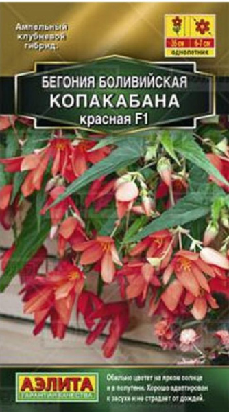 Бегония боливийская Копакабана F1 красная ---   Одн (драже в пробирке) Золотая серия фото в интернет-магазине "Сортовые семена"