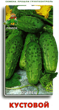 Огурец Кустовой фото в интернет-магазине "Сортовые семена"