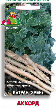 Катран (Хрен) Аккорд (ЦВ) 0,3 гр фото в интернет-магазине "Сортовые семена"