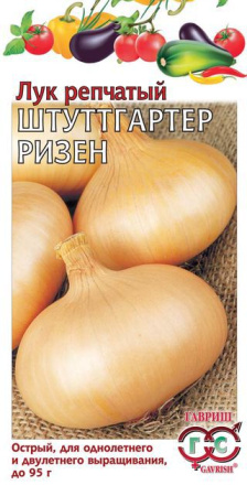 Лук репч. Штуттгартер Ризен  1,0 г фото в интернет-магазине "Сортовые семена"