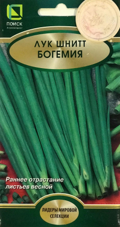 Лук шнитт Богемия (ЦВ*) 0,5гр. фото в интернет-магазине "Сортовые семена"