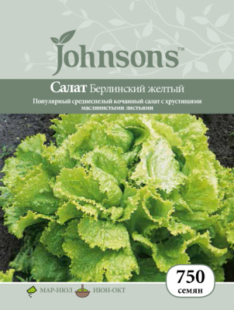 Салат Берлинский желтый кочанный фото в интернет-магазине "Сортовые семена"