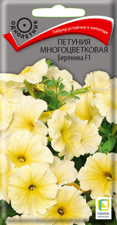 Петуния многоцветковая Береника F1 (ЦП) 20 фото в интернет-магазине "Сортовые семена"