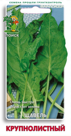 Щавель Крупнолистный (ЦВ) 0,5 гр. фото в интернет-магазине "Сортовые семена"