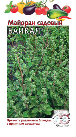 Майоран садовый Байкал* 0,1 г фото в интернет-магазине "Сортовые семена"