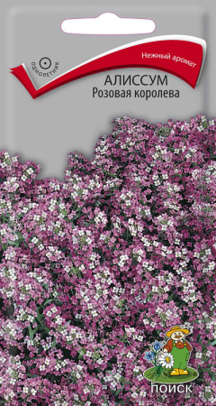 Алиссум Розовая королева (ЦП) 0,3 фото в интернет-магазине "Сортовые семена"