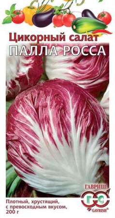Цикорный салат Пала Росса* 0,1 г фото в интернет-магазине "Сортовые семена"