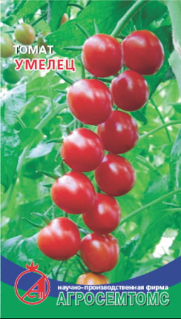 Томат Умелец фото в интернет-магазине "Сортовые семена" Томат Умелец фото в интернет-магазине "Сортовые семена"