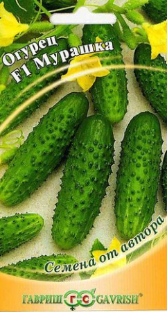 Огурец Мурашка F1 10 шт.корнишон автор. фото в интернет-магазине "Сортовые семена"