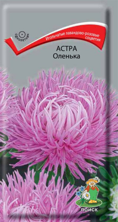 Астра Оленька (ЦП) 0,3 фото в интернет-магазине "Сортовые семена" Астра Оленька (ЦП) 0,3 фото в интернет-магазине "Сортовые семена"