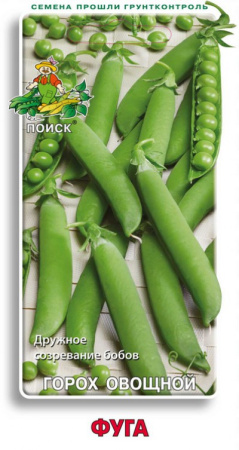 Горох овощной Фуга  (ЦВ) 10гр. фото в интернет-магазине "Сортовые семена"