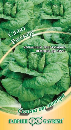 Салат Роджер 0,5 г полукочанный, хрустящий автор. фото в интернет-магазине "Сортовые семена"