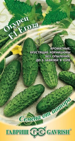 Огурец Егоза F1 10 шт. корнишон автор. фото в интернет-магазине "Сортовые семена"