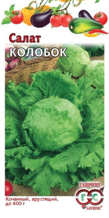 Салат Колобок 0,5 г кочанный, хрустящий, зеленый фото в интернет-магазине "Сортовые семена"
