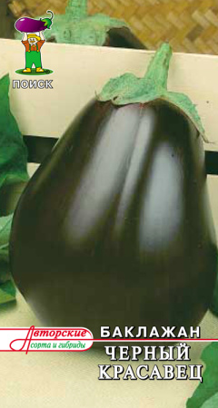 Баклажан Черный красавец(А) (ЦВ) 0,25гр. фото в интернет-магазине "Сортовые семена"