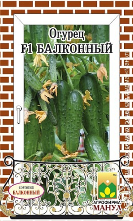 Огурец Балконный F1 фото в интернет-магазине "Сортовые семена"