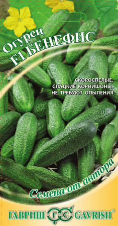 Огурец Бенефис  F1 10 шт.корнишон автор. фото в интернет-магазине "Сортовые семена"
